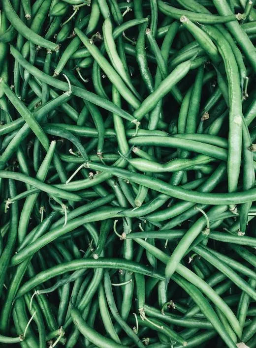 Bean - Blue Lake (Pole)