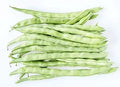 Bean - Kentucky Wonder White Seeded (Pole)