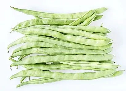 Bean - Kentucky Wonder White Seeded (Pole)