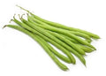 Bean - Landreth Stringless Green Bean (Bush)