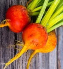 Beet - Golden Detroit