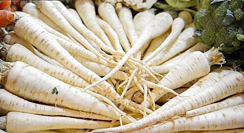 Carrot - Lunar White