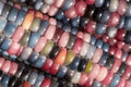 Corn - Glass Gem