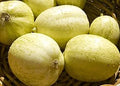 Cucumber - Crystal Apple