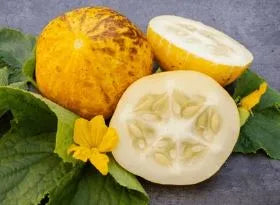 Cucumber - Lemon