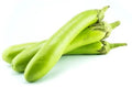 Eggplant - Louisiana Long Green