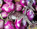 Eggplant - Purple Thai Round