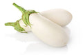 Eggplant - Snowy