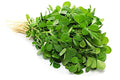 Fenugreek