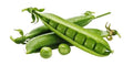 Pea - Green Arrow (Shelling)