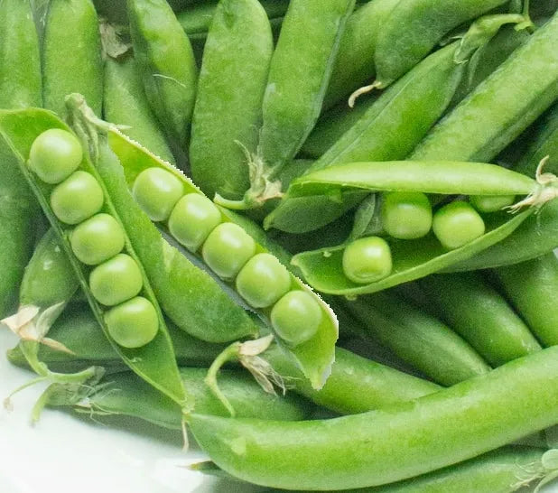 Pea - Little Marvel