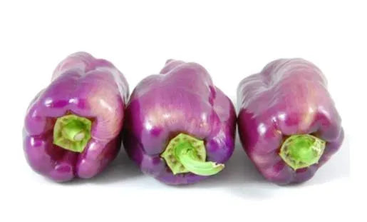 Pepper - Lilac Bell