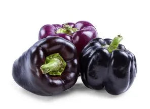 Midnight Dreams Pepper