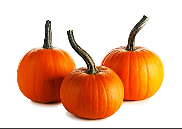 Pumpkin - Wee-B-Little