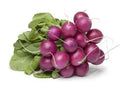 Radish - Purple Plum