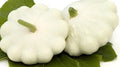 Squash - Scallop Early White Bush