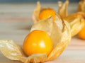 Tomatillo - Aunt Molly's, Ground Cherry