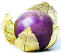 Tomatillo - Purple