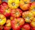 Tomato - Oaxacan Jewel