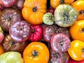 Tomato - Rainbow Blend Beefsteak