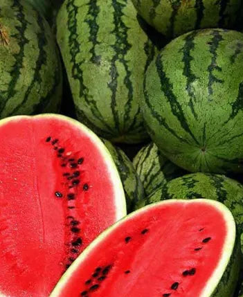 Watermelon - All Sweet